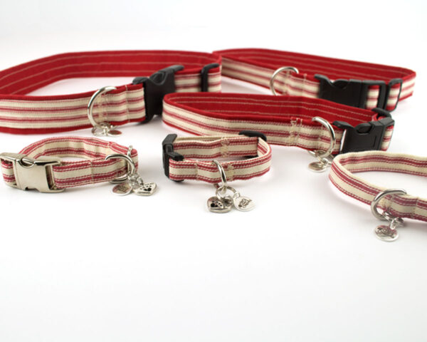 BFF Set – dog collars – angle red
