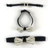 Dog Bowtie black on collar front and back