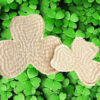 Quiltoys St Patrick’s Day with background