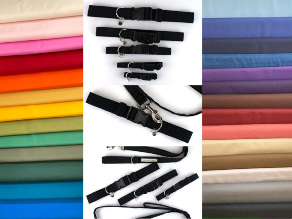 dog collar colors