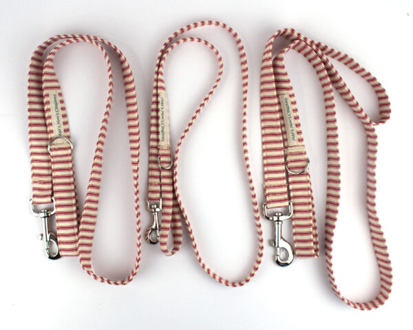 leash – large small and traffic red