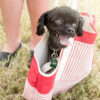 red striped dog carrier cover