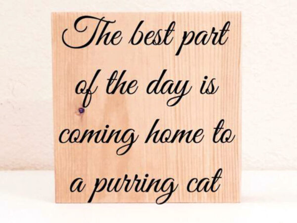 sign – purring cat